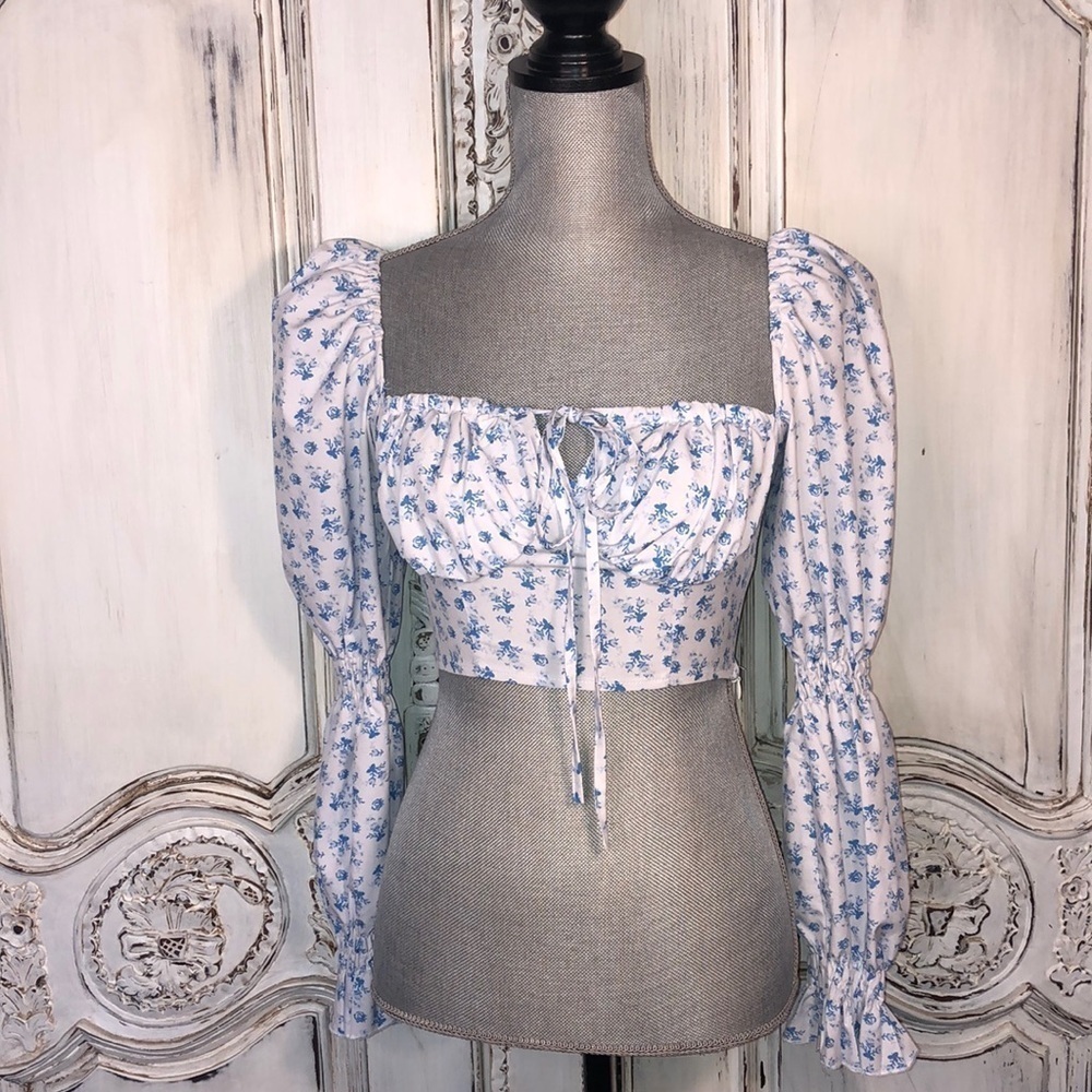 8 Birdies CottageCore Victorian Edwardian Feminine Prairie Cowgirl Corset Top